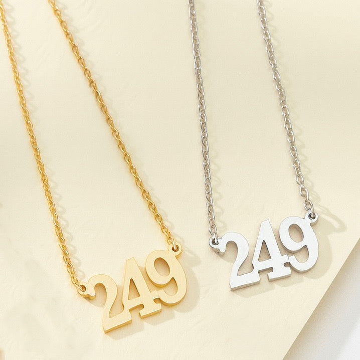 National Number “249” Pendent