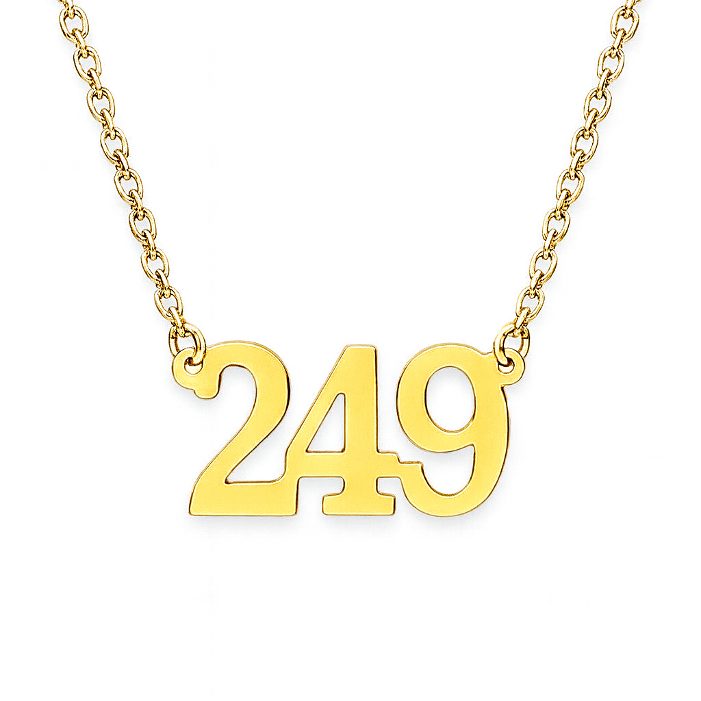 National Number “249” Pendent