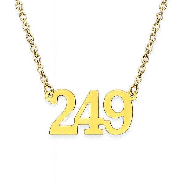 National Number “249” Pendant