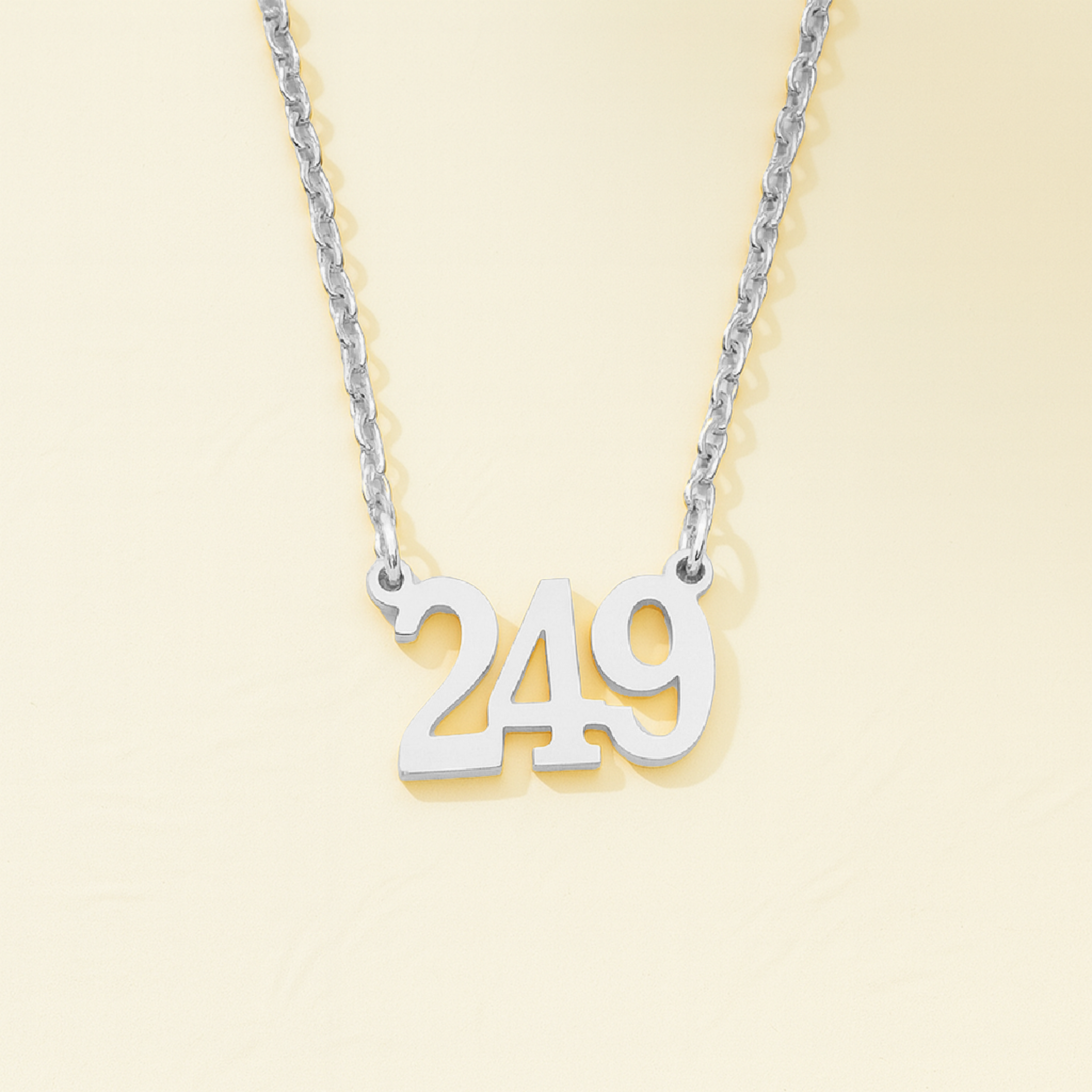 National Number “249” Pendent